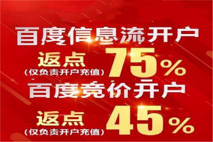 成功企业的SEM竞价优化经验与启示